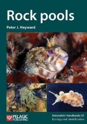 Rock Pools de Peter J. Hayward