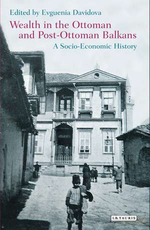 Wealth in the Ottoman and Post-Ottoman Balkans: A Socio-Economic History de Evguenia Davidova