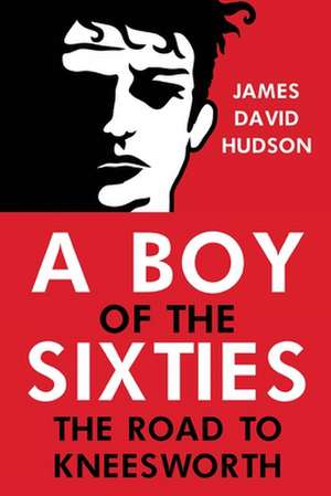 A Boy of the Sixties de James David Hudson