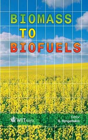 Biomass to Biofuels de S. Syngellakis