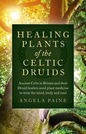 Healing Plants of the Celtic Druids – Ancient Celts in Britain and their Druid healers used plant medicine to treat the mind, body and soul de Angela Paine