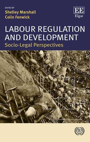 Labour Regulation and Development – Socio–Legal Perspectives de Shelley Marshall