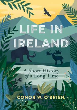 Life in Ireland de Conor O'Brien