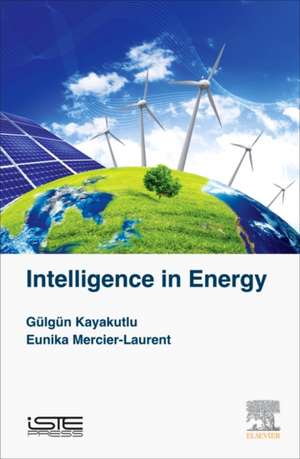 Intelligence in Energy de Gülgün Kayakutlu