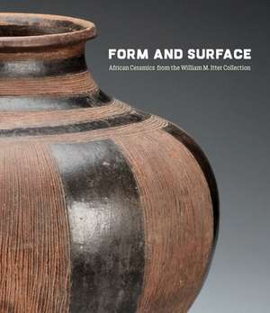 FORM AND SURFACE de Allison J. Martino