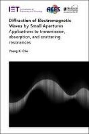 Diffraction of Electromagnetic Waves by Small Apertures de Young Ki Cho