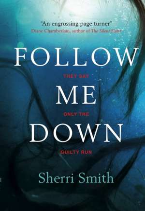 Smith, S: Follow Me Down de Sherri Smith