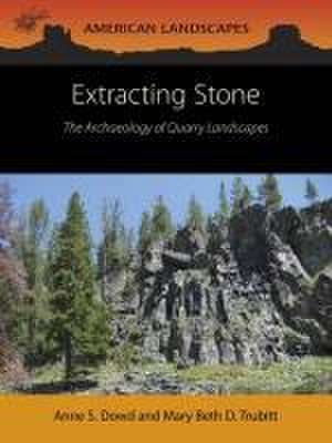 Extracting Stone de Anne S. Dowd