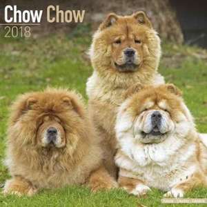 Chow Chow Calendar 2018 de Avonside Publishing Ltd.