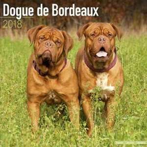 Dogue de Bordeaux Calendar 2018 de Avonside Publishing Ltd.