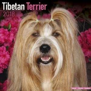 Tibetan Terrier Calendar 2018 de Avonside Publishing Ltd.