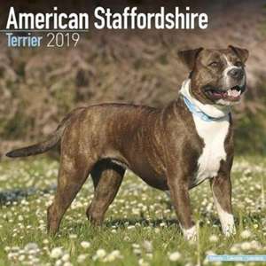 American Staffordshire Terrier Calendar 2019 de Avonside Publishing Ltd