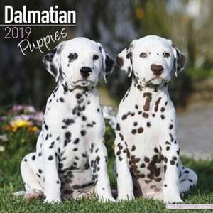 Dalmatian Puppies Calendar 2019 de Avonside Publishing Ltd