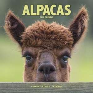 Alpacas Calendar 2019 de Avonside Publishing Ltd