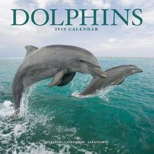 Dolphins Calendar 2019 de Avonside Publishing Ltd