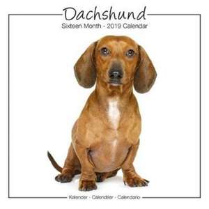 Dachshund Studio Calendar 2019 de Avonside Publishing Ltd