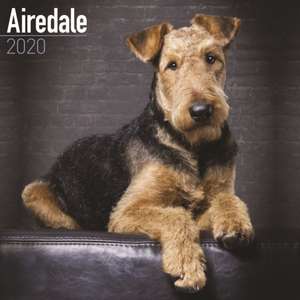 Airedale Calendar 2020 de Avonside Publishing Ltd