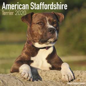 American Staffordshire Terrier - Amstaff 2020 de Avonside Publishing Ltd