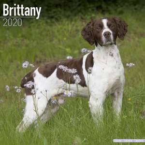 Brittany Calendar 2020 de Avonside Publishing Ltd