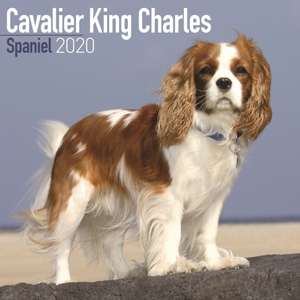 Cavalier King Charles Spaniel Calendar 2020 de Avonside Publishing Ltd