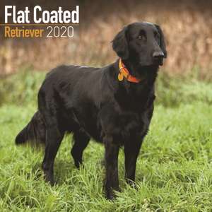 Flat Coated Retriever Calendar 2020 de Avonside Publishing Ltd