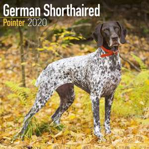 German Shorthaired Pointer Calendar 2020 de Avonside Publishing Ltd