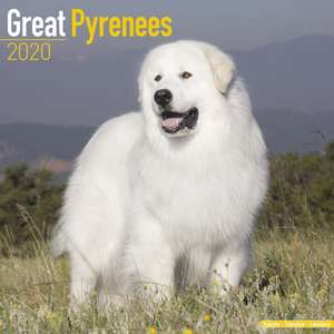 Great Pyreness Calendar 2020 de Avonside Publishing Ltd