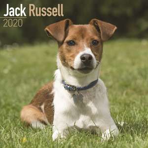 Jack Russell Calendar 2020 de Avonside Publishing Ltd