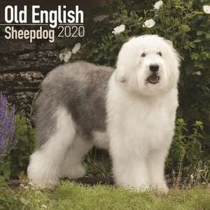 Old English Sheepdog Calendar 2020 de Avonside Publishing Ltd