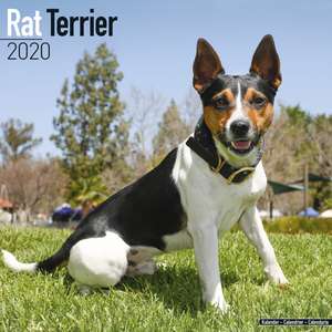 Rat Terrier Calendar 2020 de Avonside Publishing Ltd