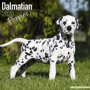 Dalmatian Puppies Calendar 2020 de Avonside Publishing Ltd