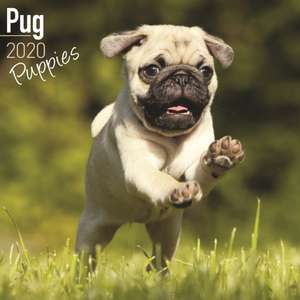 Pug Puppies Calendar 2020 de Avonside Publishing Ltd