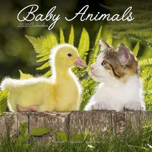 Baby Animals Calendar 2020 de Avonside Publishing Ltd