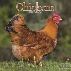 Chickens Calendar 2020 de Avonside Publishing Ltd