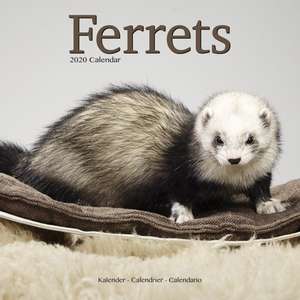 Ferrets Calendar 2020 de Avonside Publishing Ltd