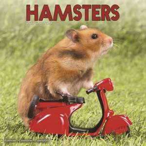 Hamsters - Hamster 2020 de Avonside Publishing Ltd