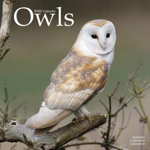 Owls Calendar 2020 de Avonside Publishing Ltd