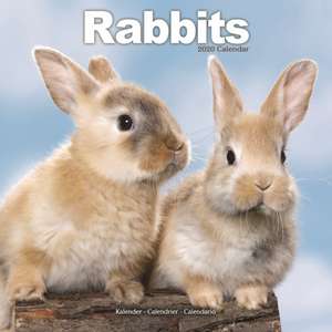 Rabbits Calendar 2020 de Avonside Publishing Ltd