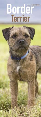 Border Terrier Slim Calendar 2020 de Avonside Publishing Ltd