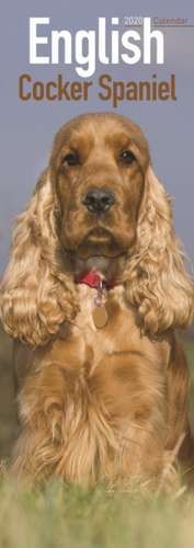 English Cocker Spaniel 2020 de Avonside Publishing Ltd