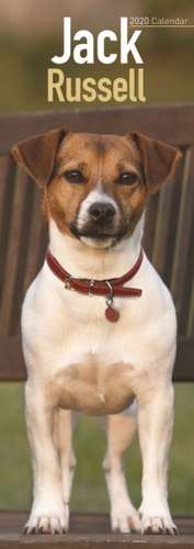 Jack Russell Slim Calendar 2020 de Avonside Publishing Ltd