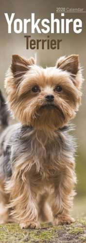 Yorkshire Terrier Slim Calendar 2020 de Avonside Publishing Ltd