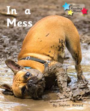 In a Mess de Rickard Stephen