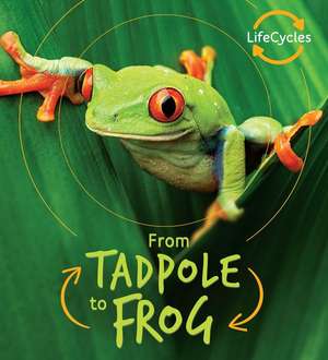 From Tadpole to Frog de Camilla De La Bedoyere