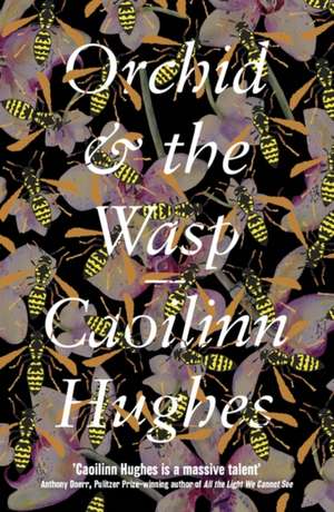 Orchid & the Wasp de Caoilinn Hughes