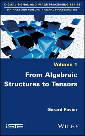 From Algebraic Structures to Tensors de G Favier