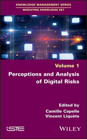 Perceptions and Analysis of Digital Risks de C Capelle