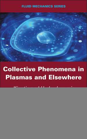 Collective Phenomena in Plasmas and Elsewhere – Kinetic and Hydrodynamic Approaches de K Ourabah