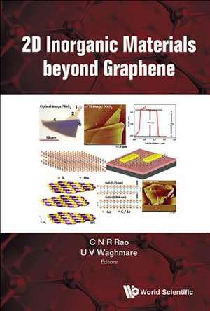 2D Inorganic Materials Beyond Graphene de C. N. R. Rao