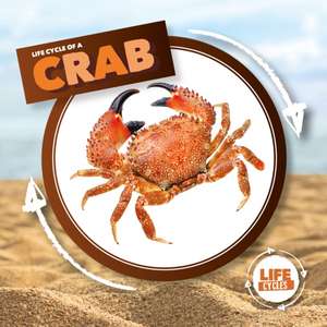 Crab de Kirsty Holmes